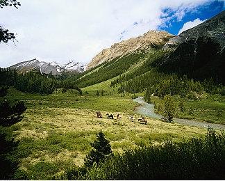 《最后的生还者2：重制版》发布全新特性介绍视频